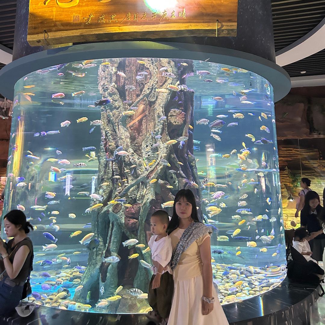 庆庆林子👦