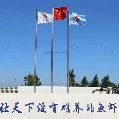 海壹(东北营口)对虾种苗