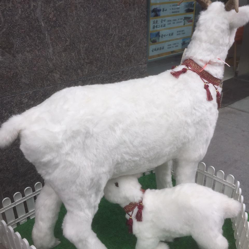 随时盯你