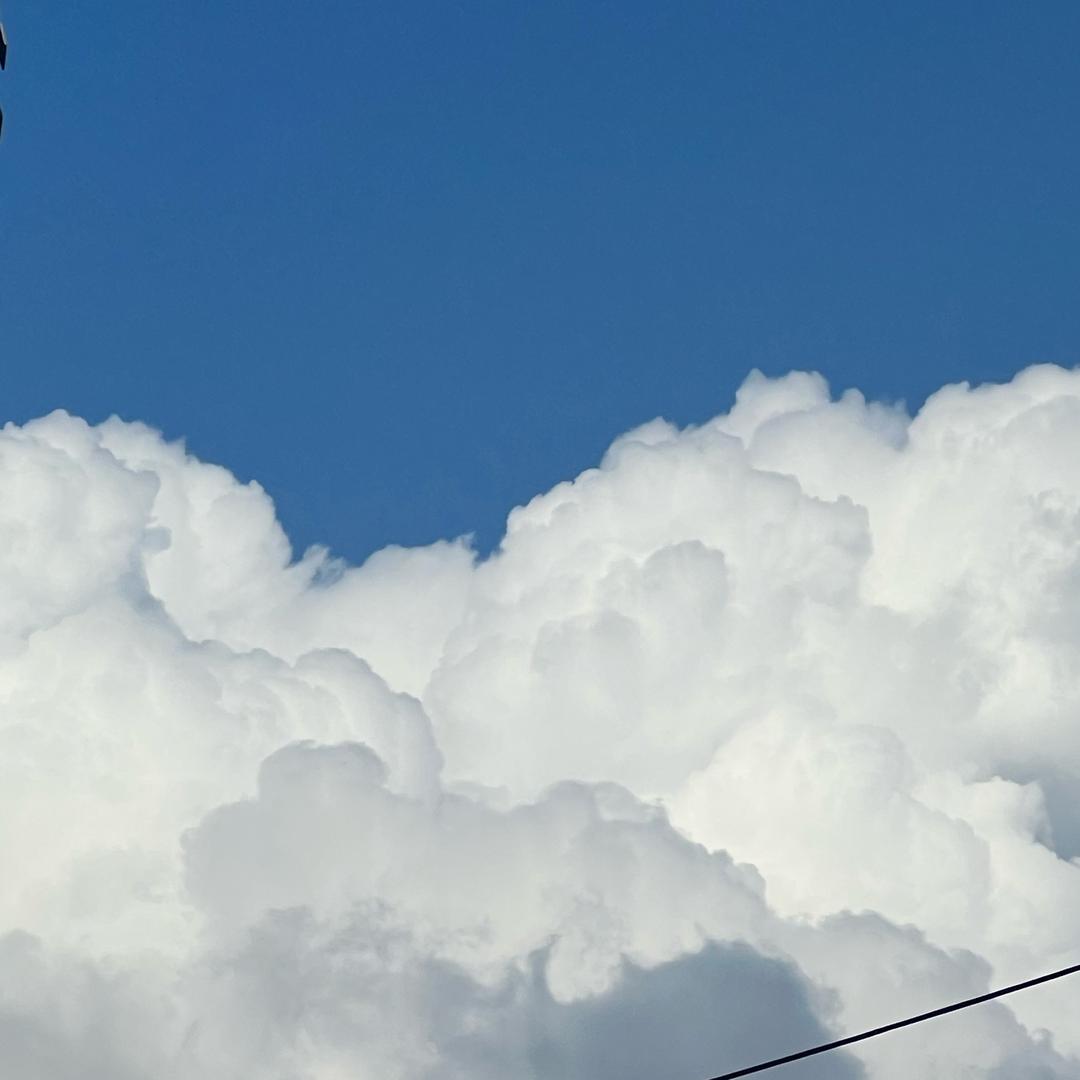 重生之我要拿回我的一切