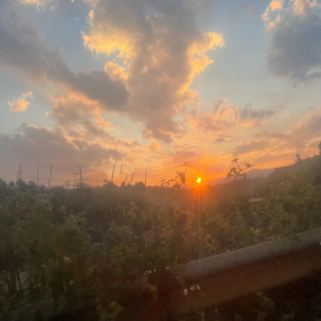 小池扶月