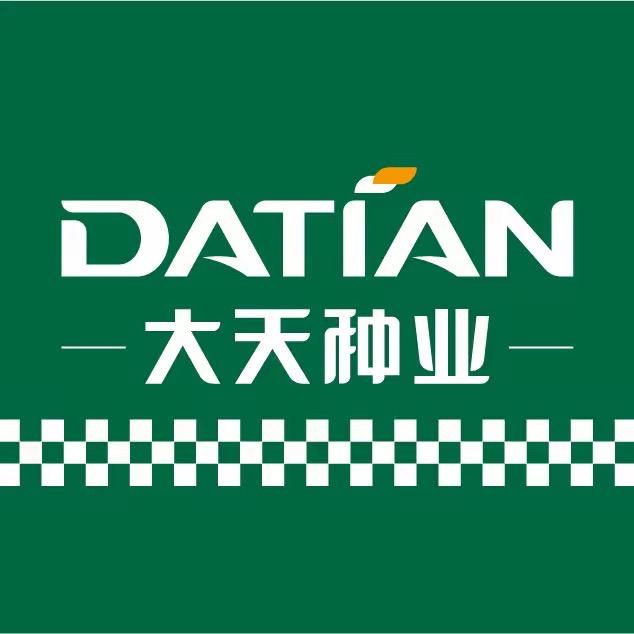 云南大天-保山国宽种业-满城尽挂黄金甲