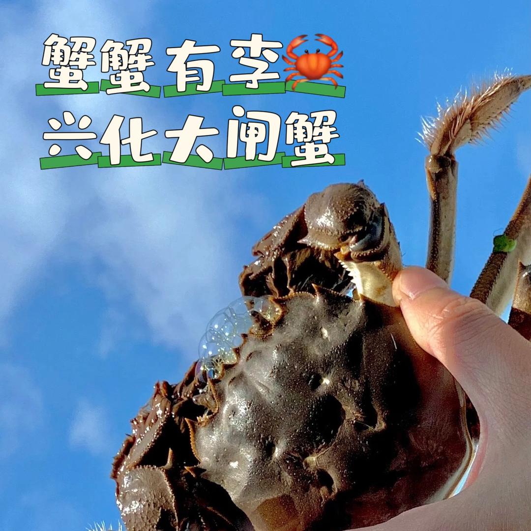 蟹蟹有李（大闸蟹）