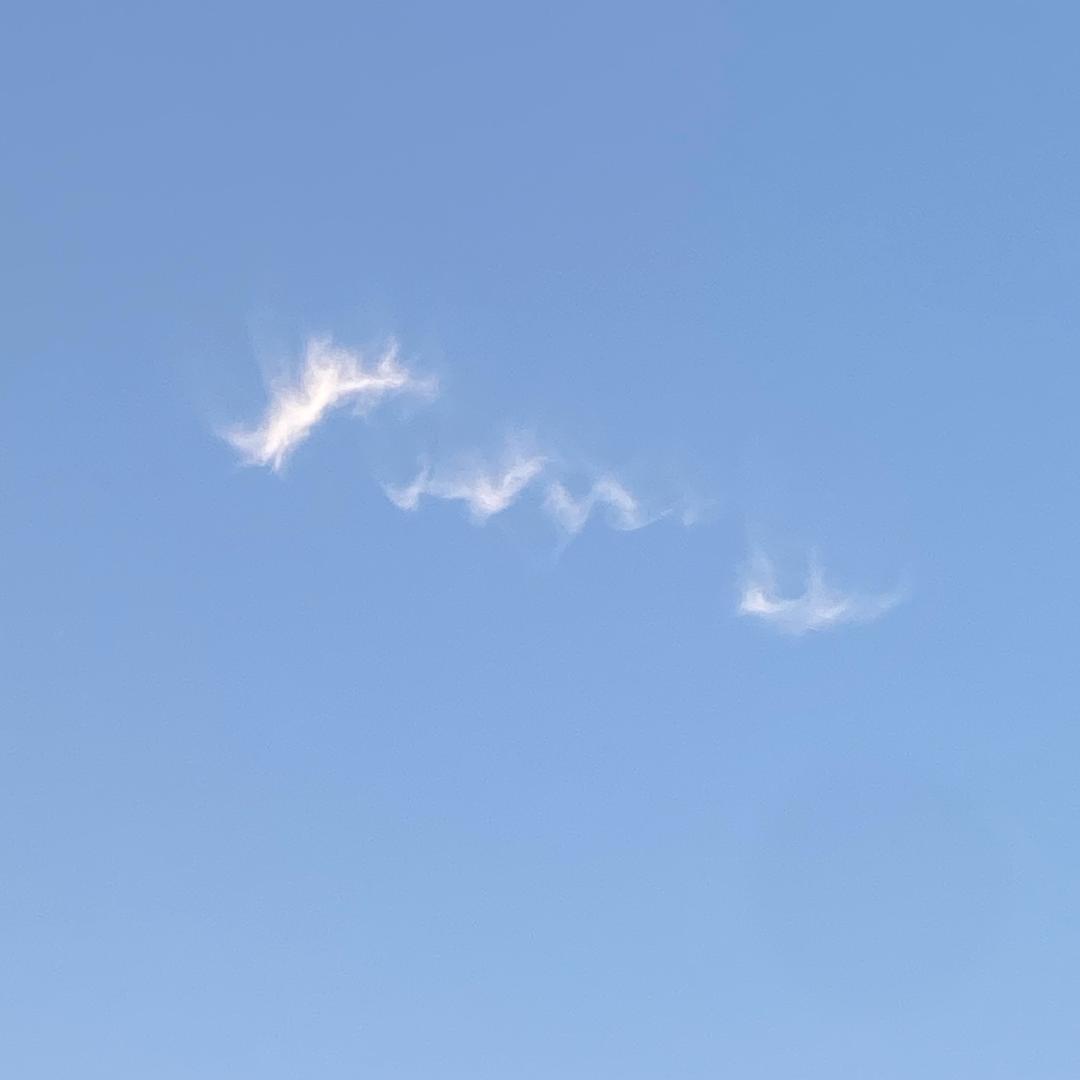 小刘