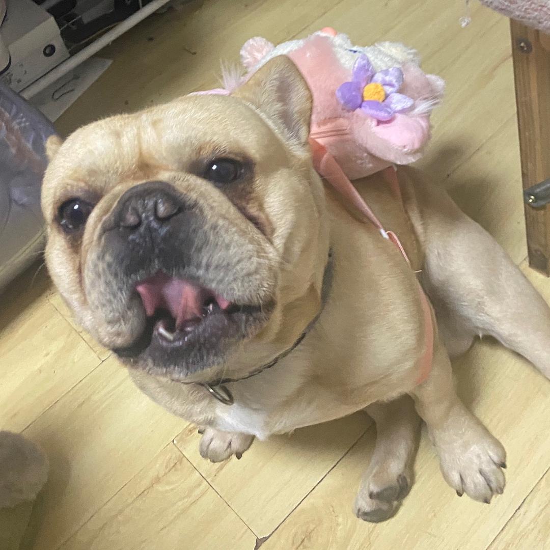伊欣