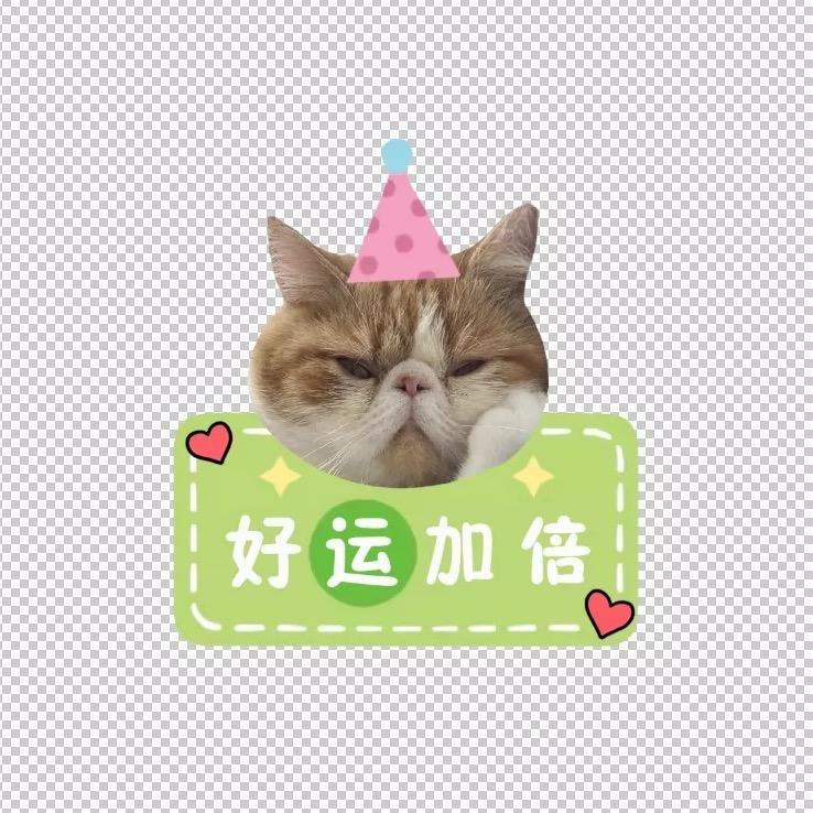 花花是个小福咪