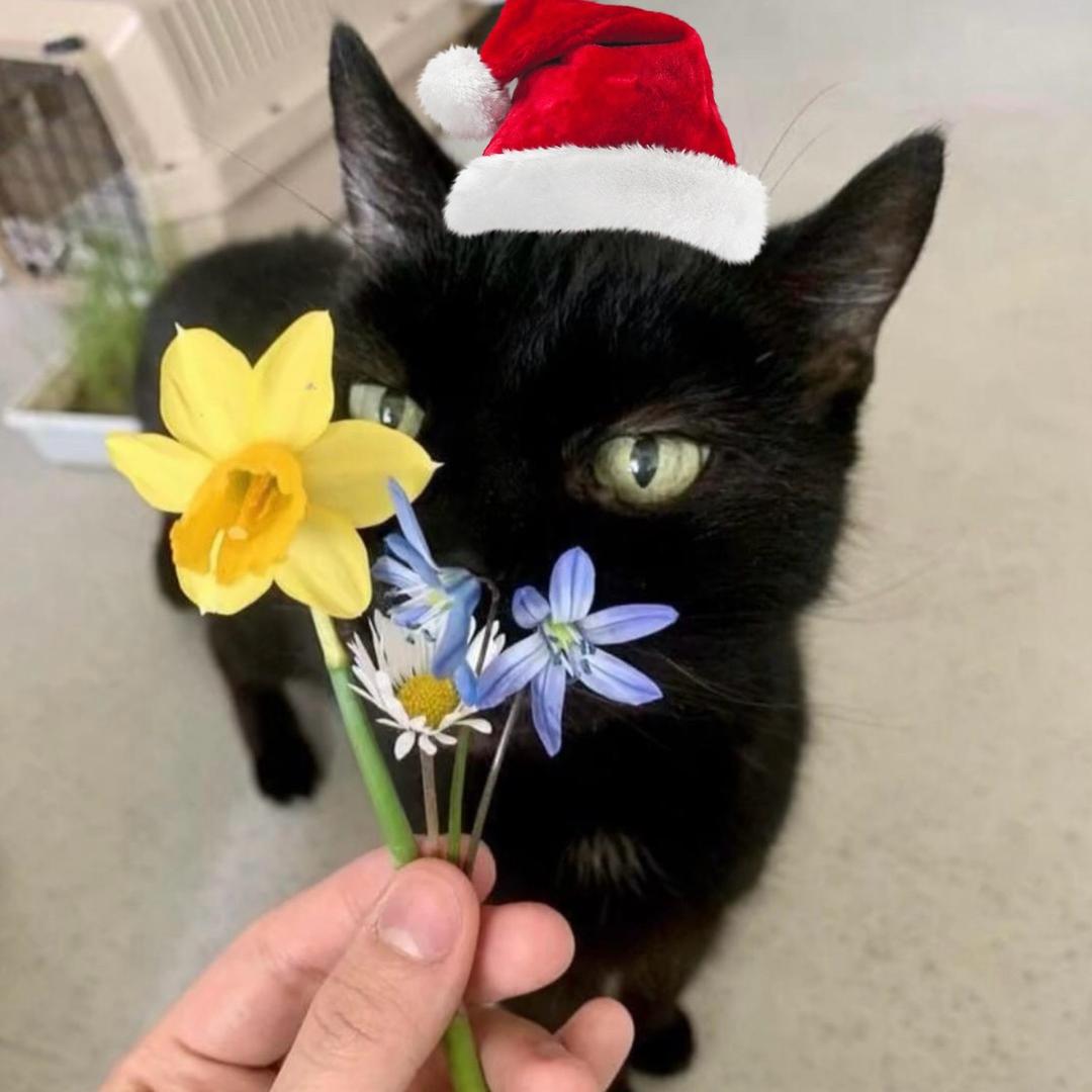 淄博第一叛逆生