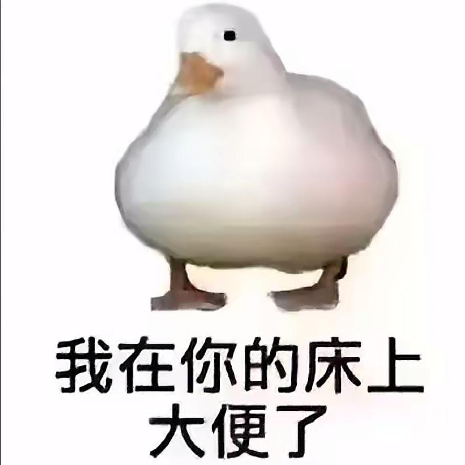 爱鼠癖