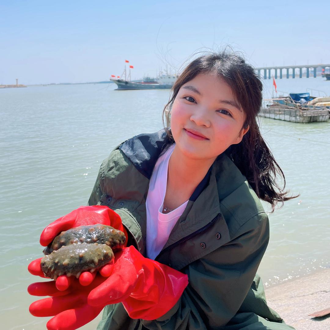 三妹海参滋补