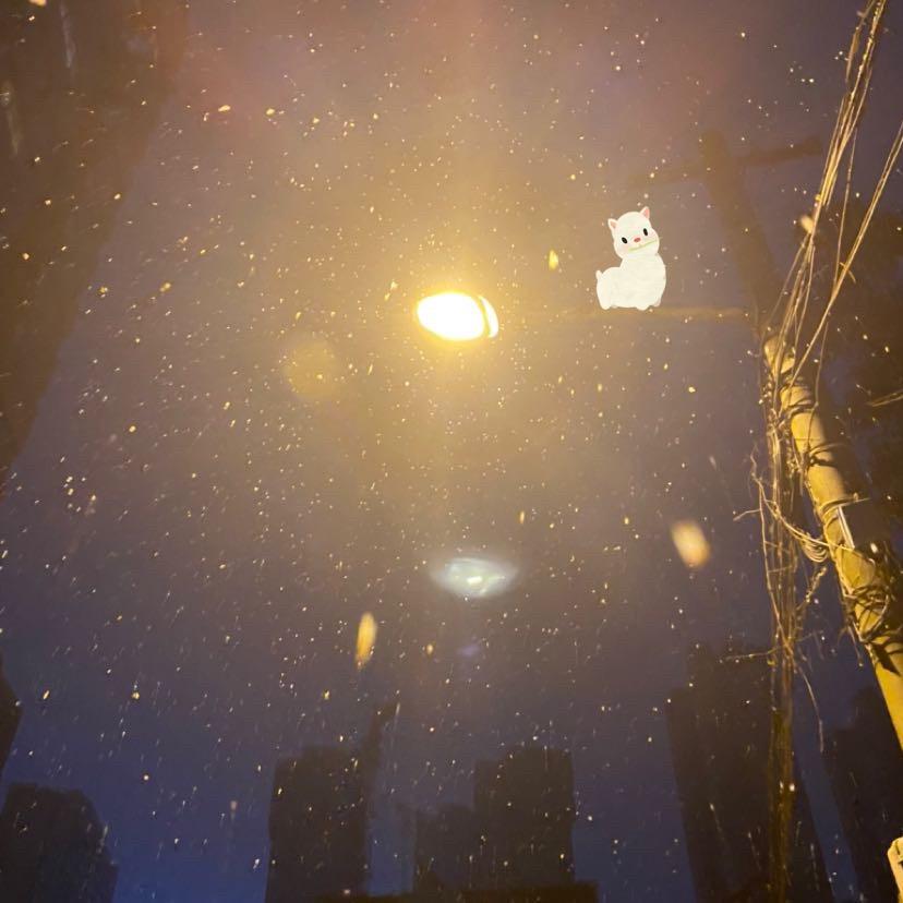 不吃香菜少放辣