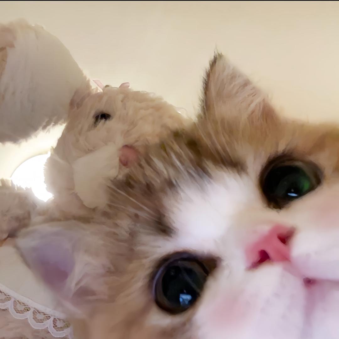 小点心