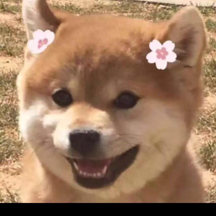 重阳，头像