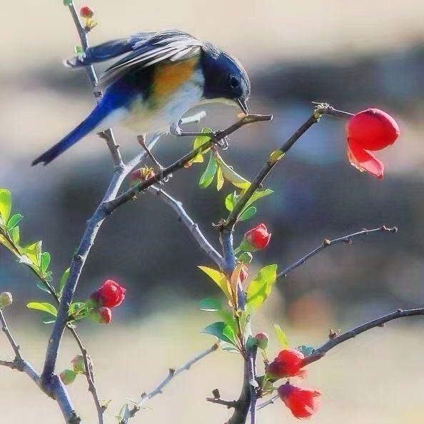 、為袮じ☆執著