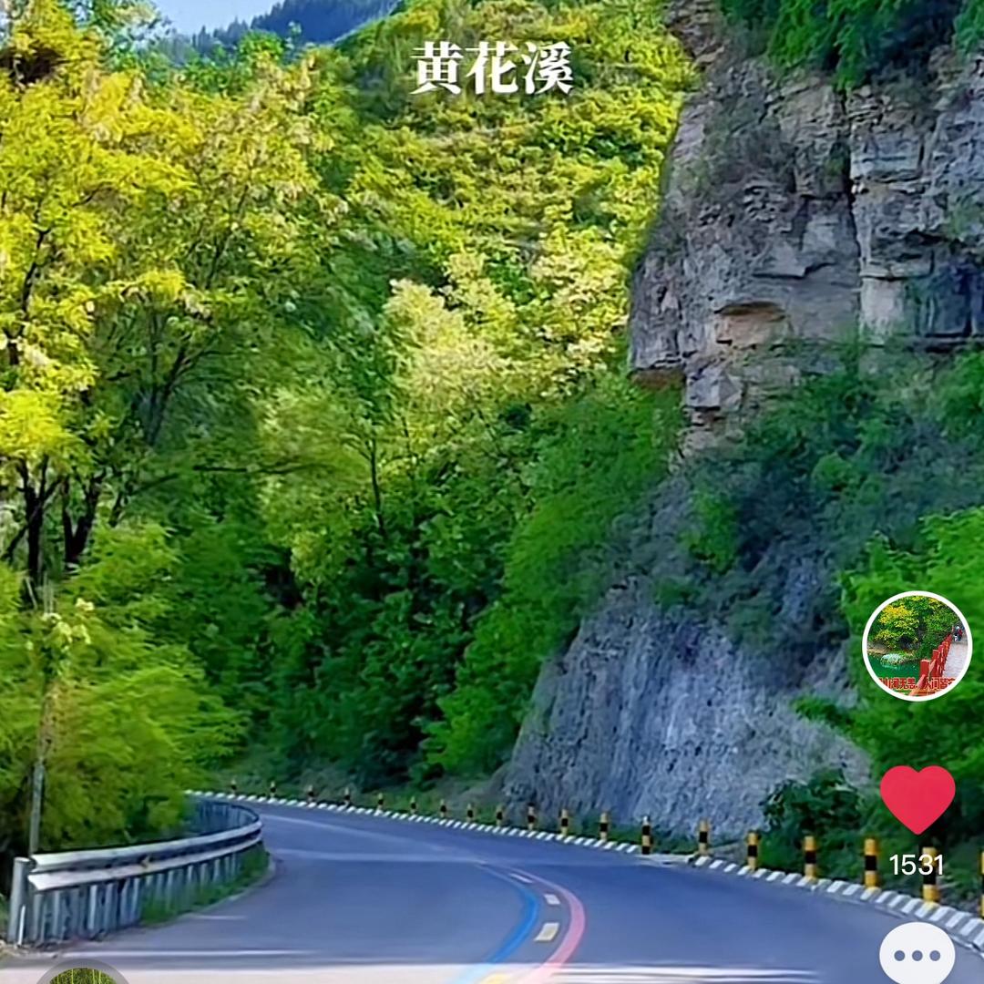 逆水的鱼