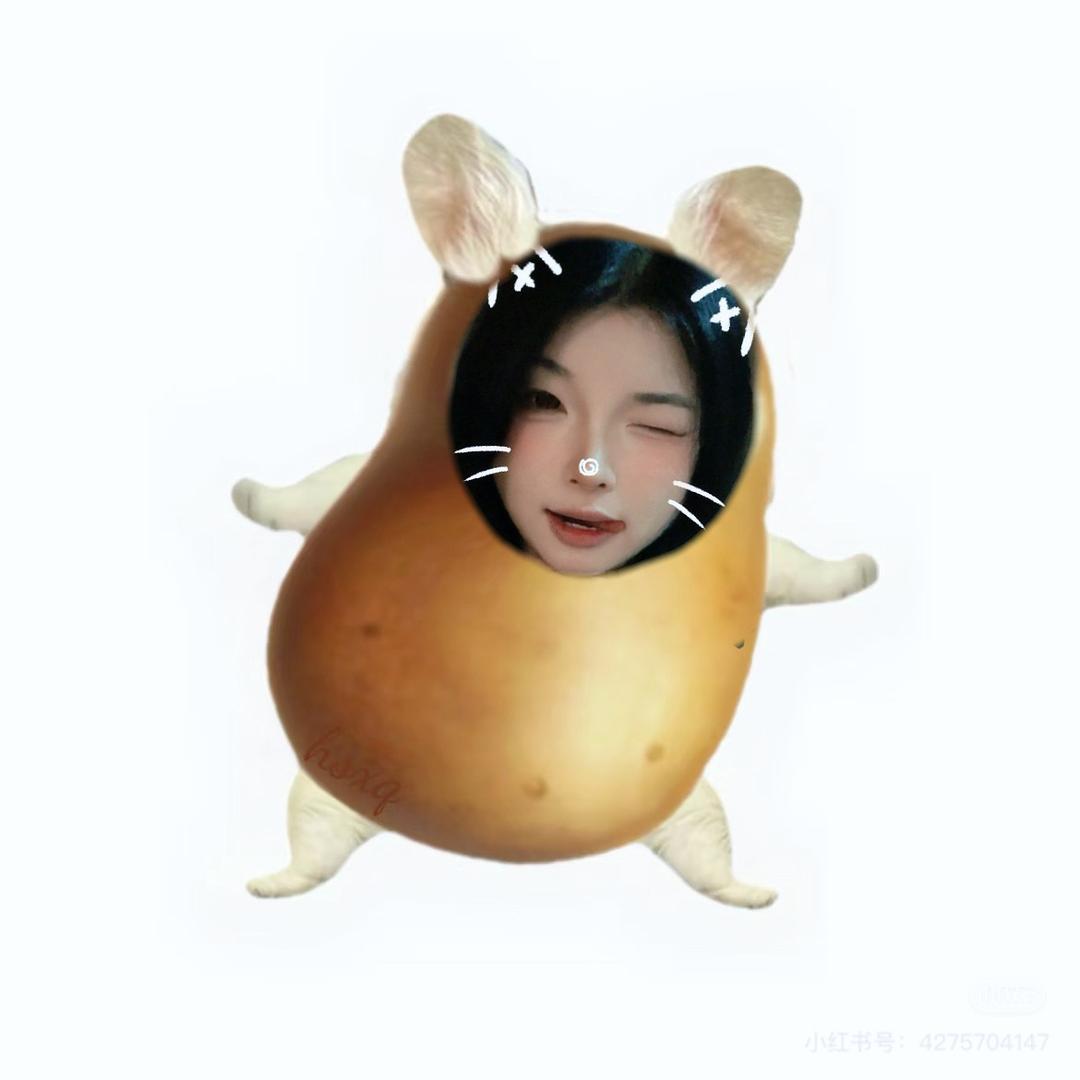 小小麻鼠