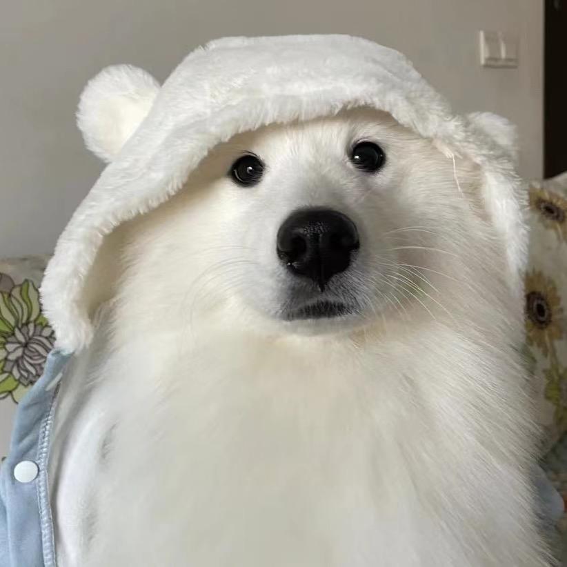 迷糊蛋