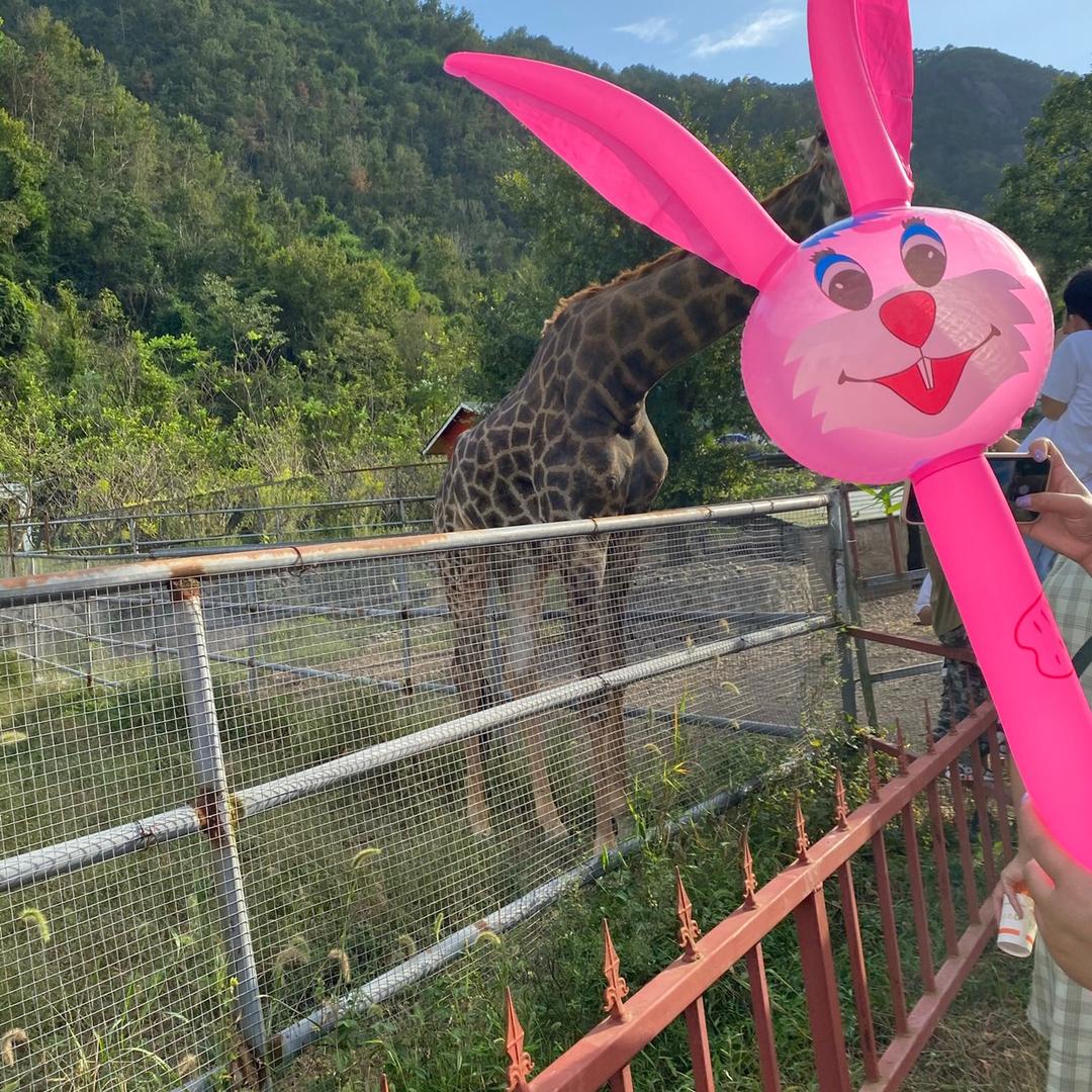 一滴妤