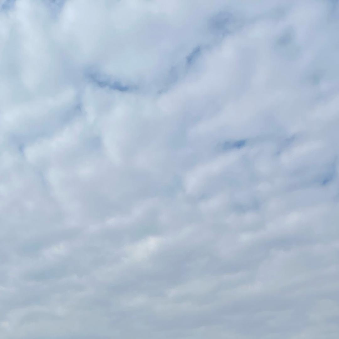 驴盆友。