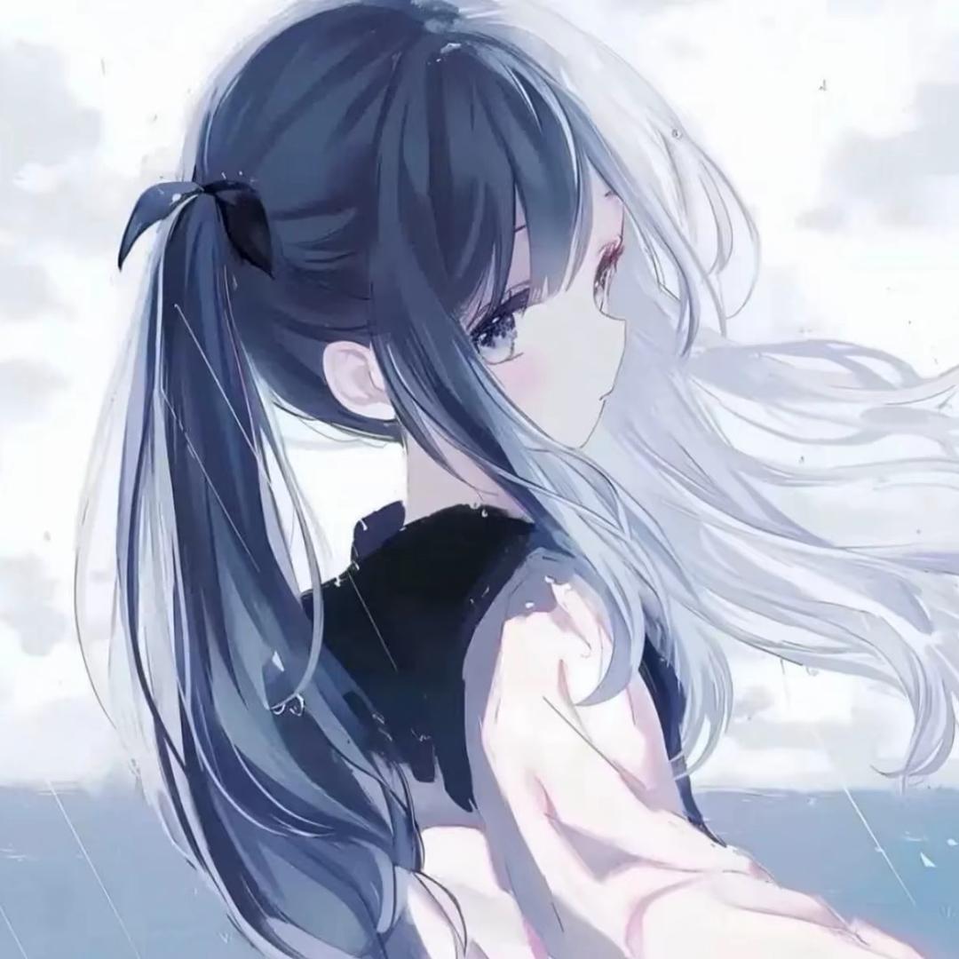 @琪崽