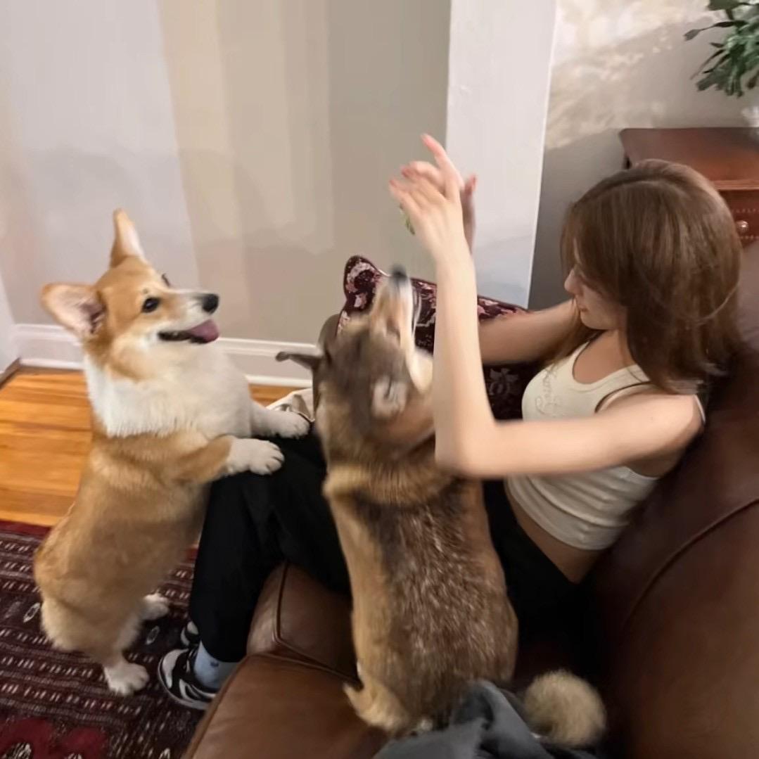 瘦十斤.