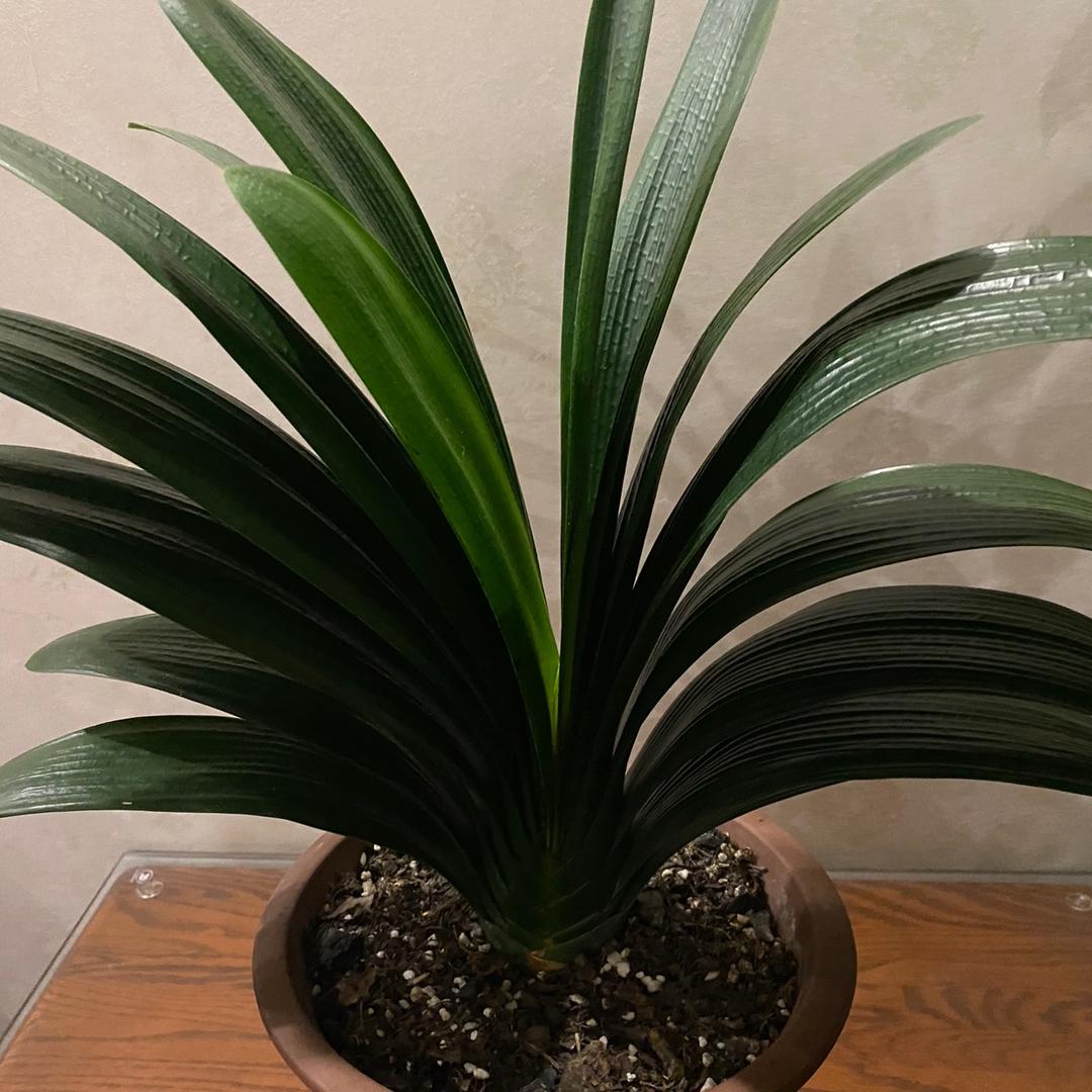 启程