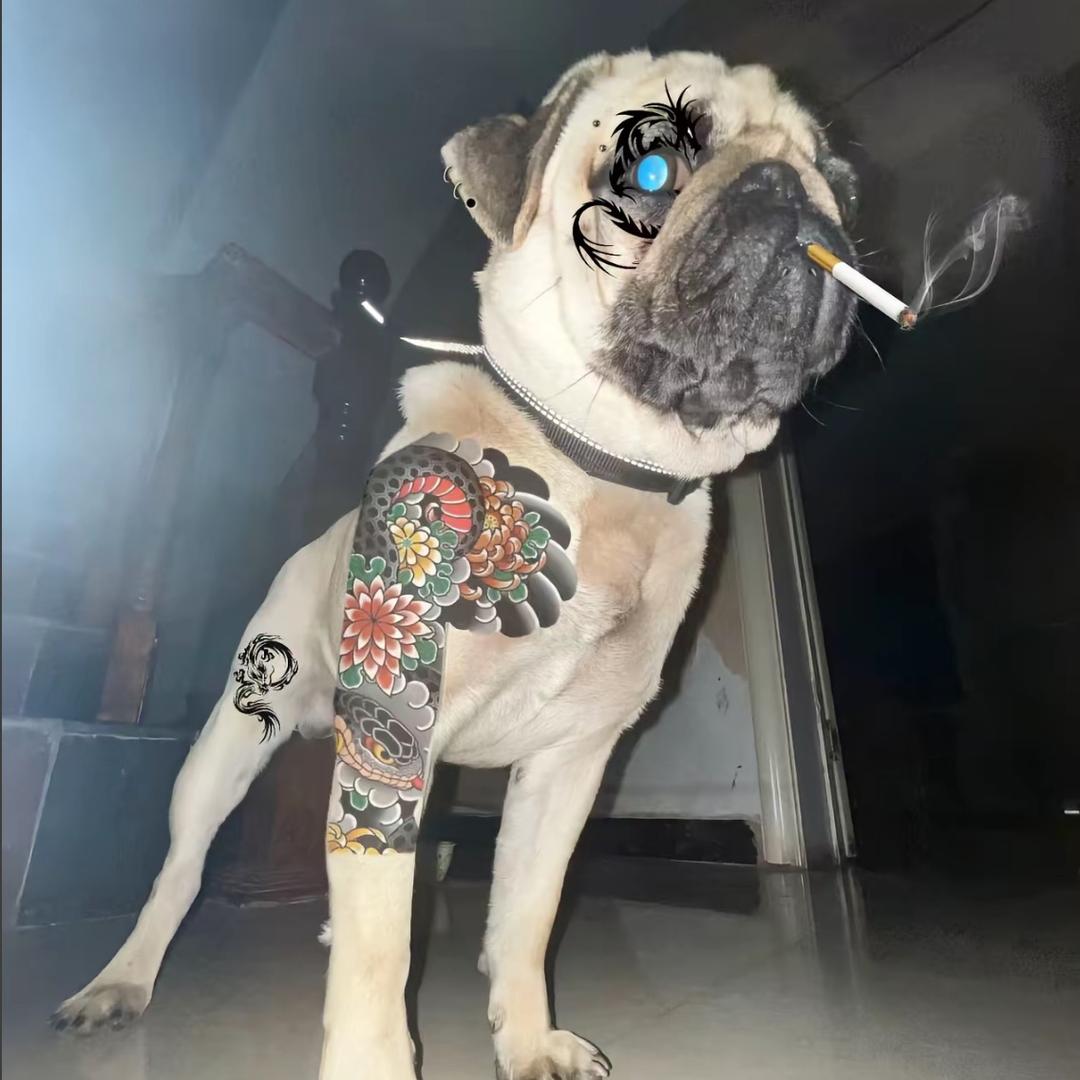 007