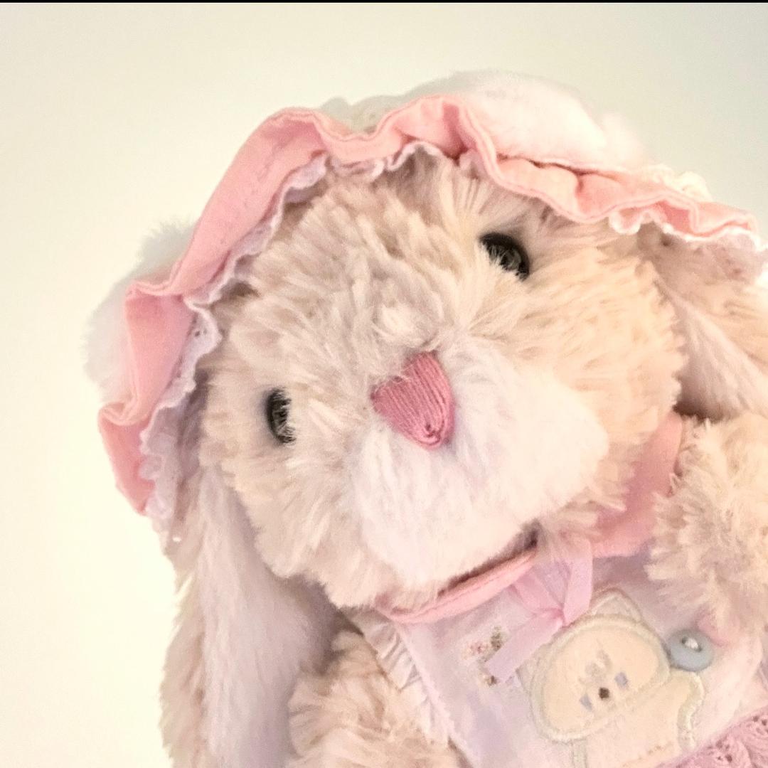 🐰小呆兔