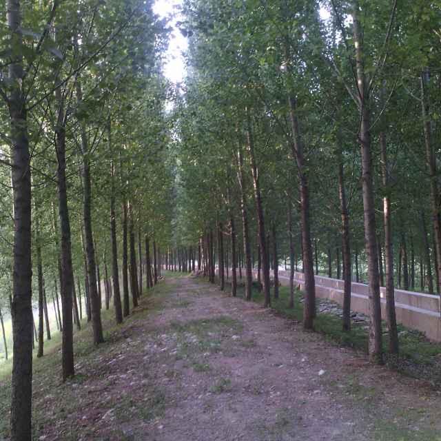 郭里镇头供销农资