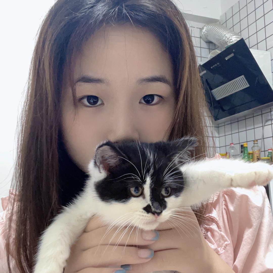 睡不醒的羊