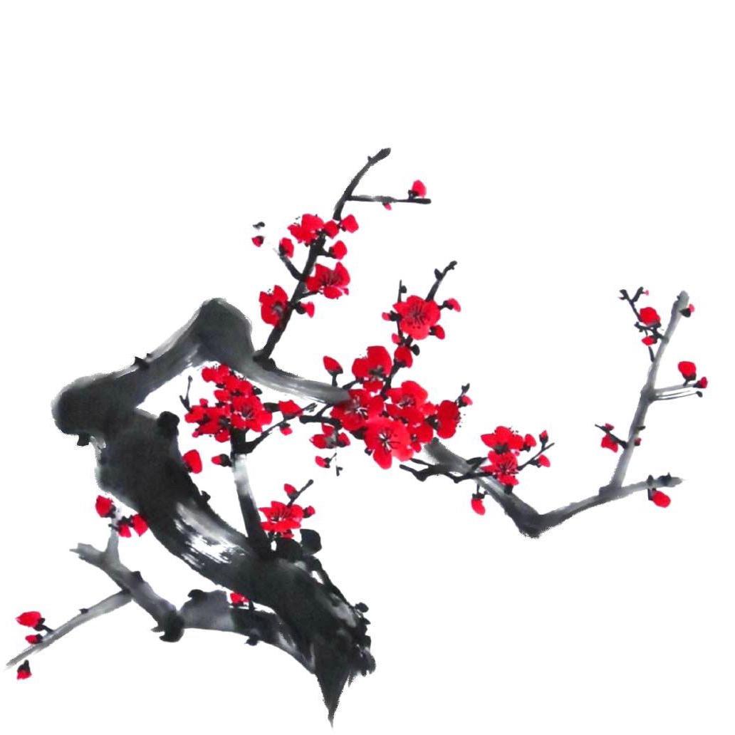 张怀琴|韵百年瘦身养生全国招商