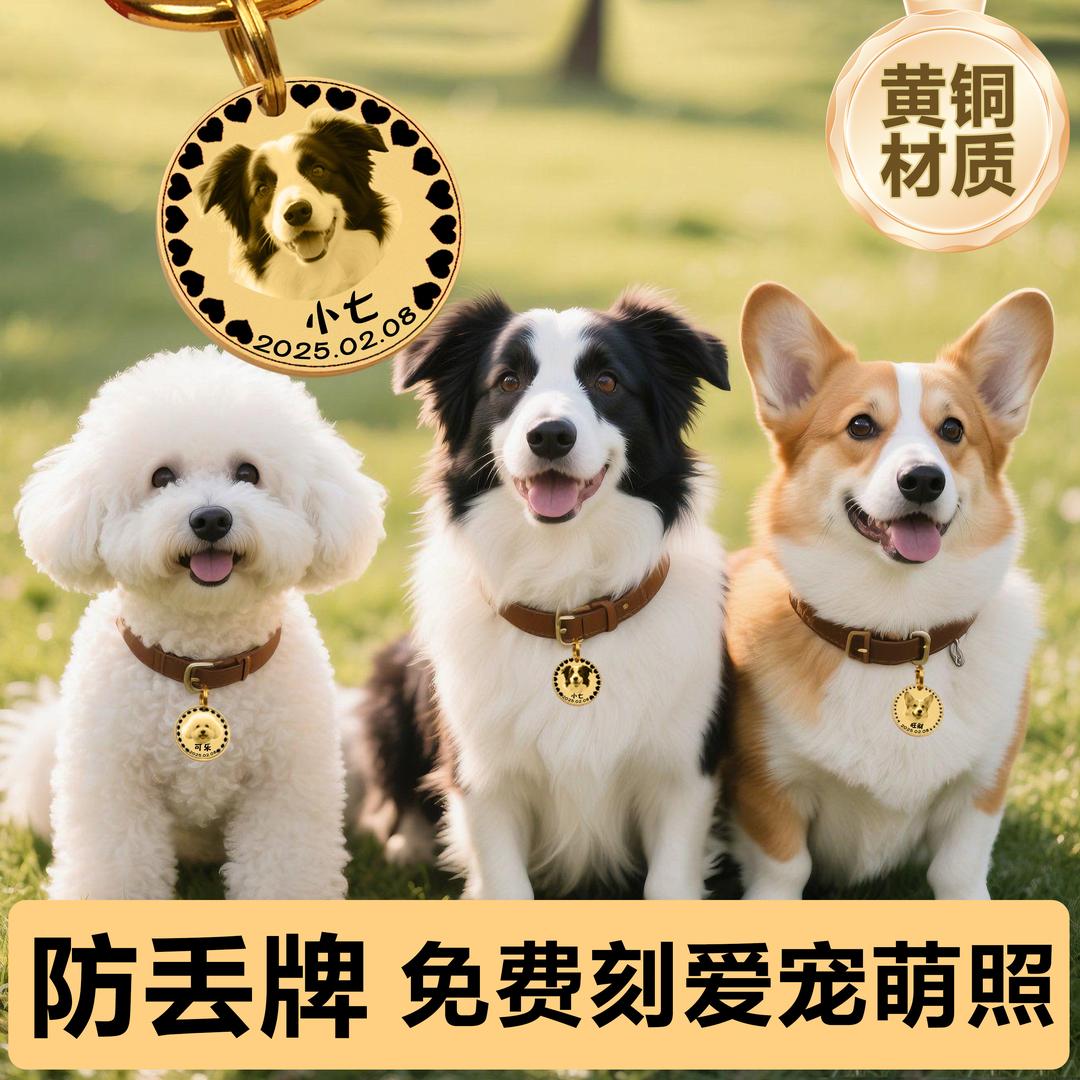 怪盗喵德