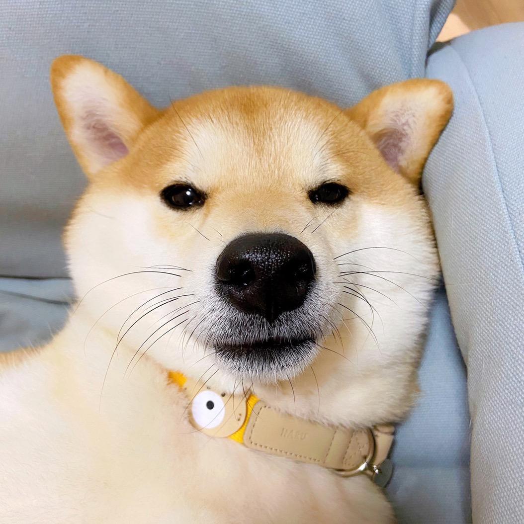 🌞一杯拿铁