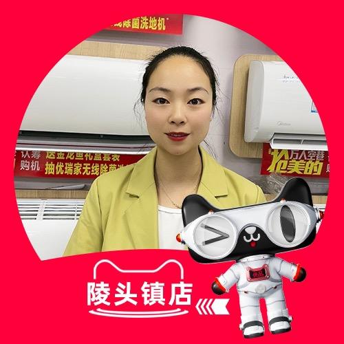 陵头镇天猫优品电器