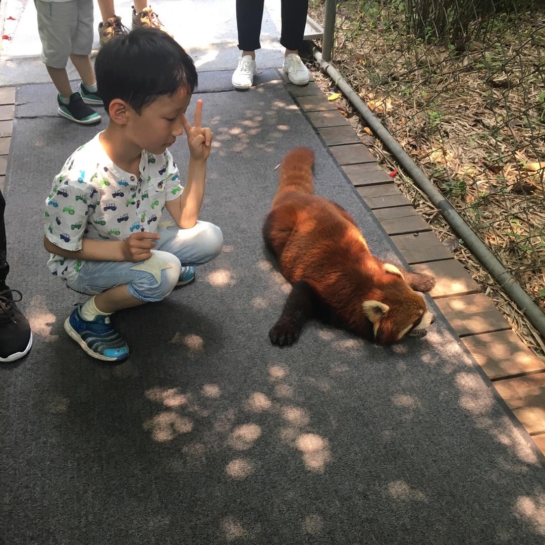 恒亮