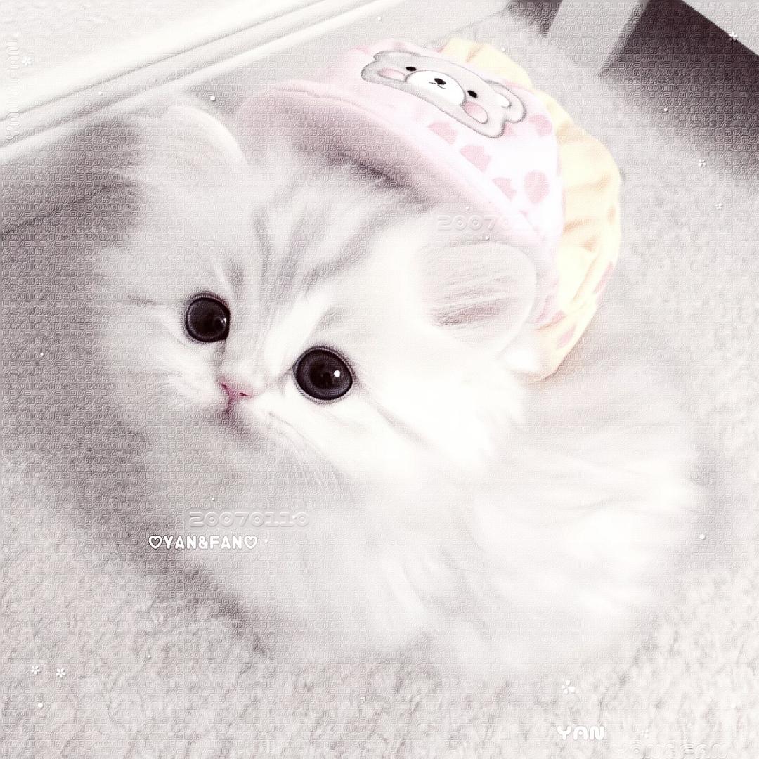 诗宝