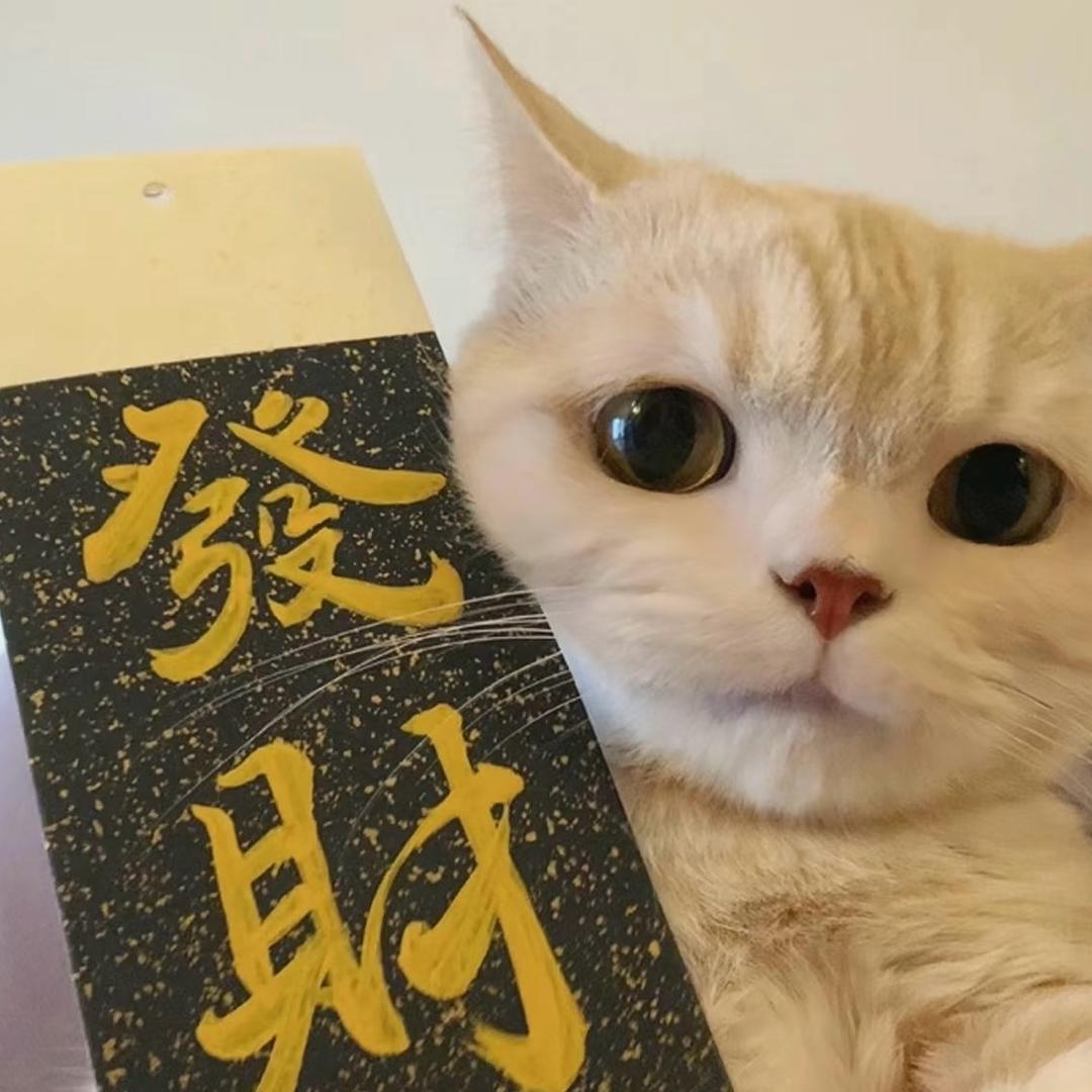 拾年之约✨