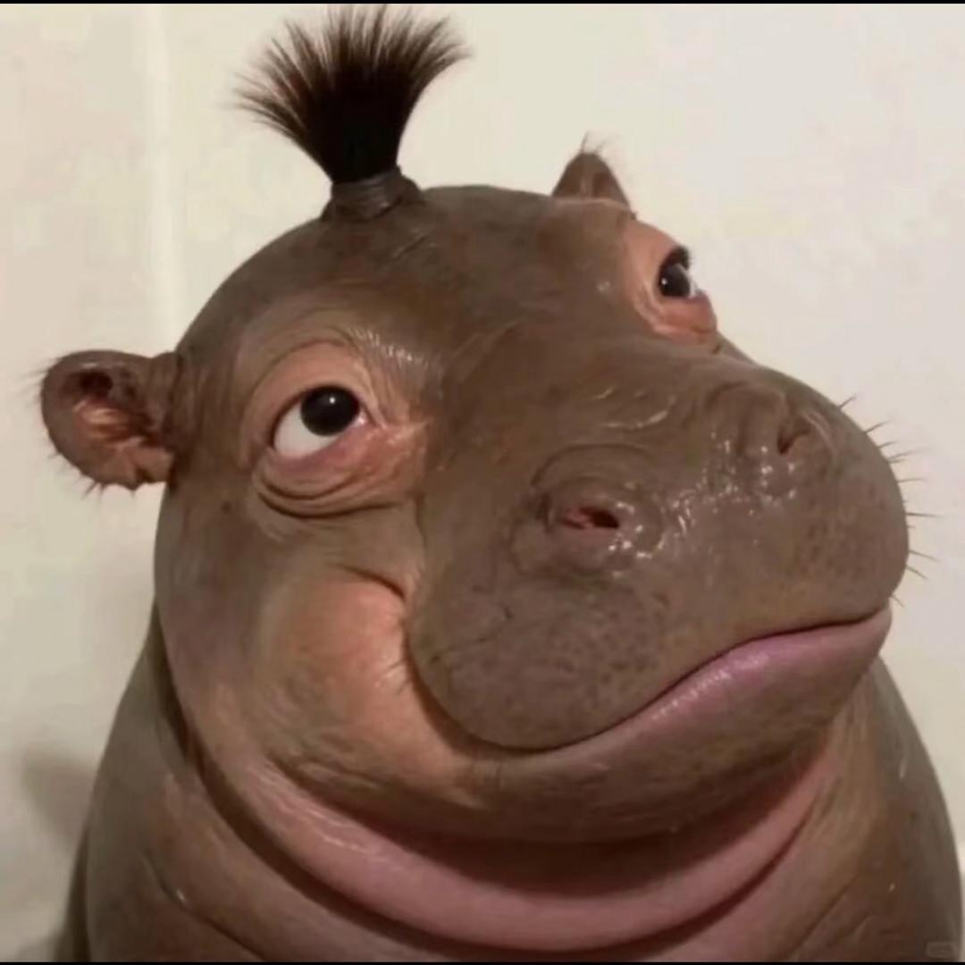 癞蛤蟆想吃大傻批