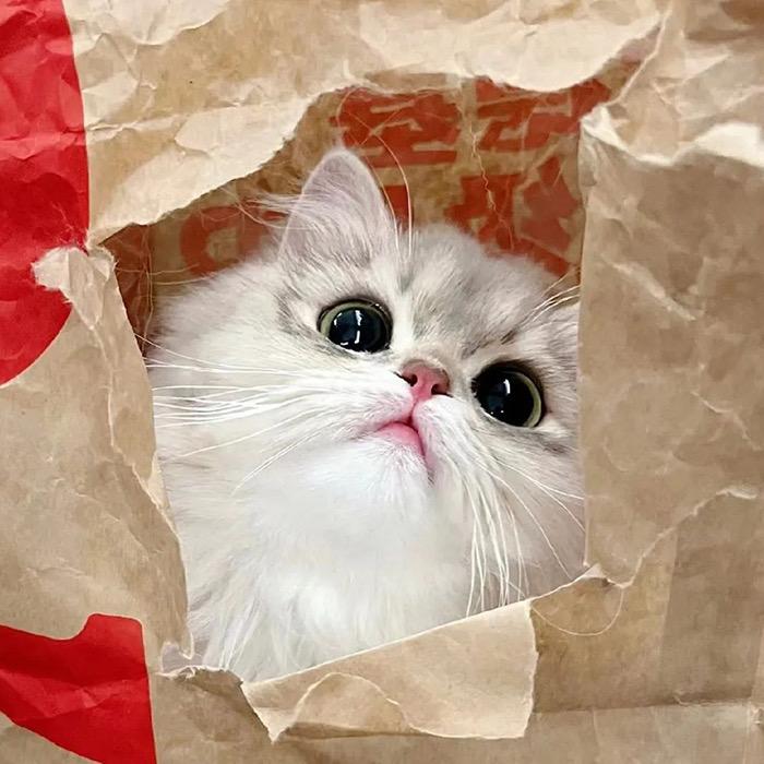 ⋆*ෆ Doria ✩⃛*ೃ.⋆