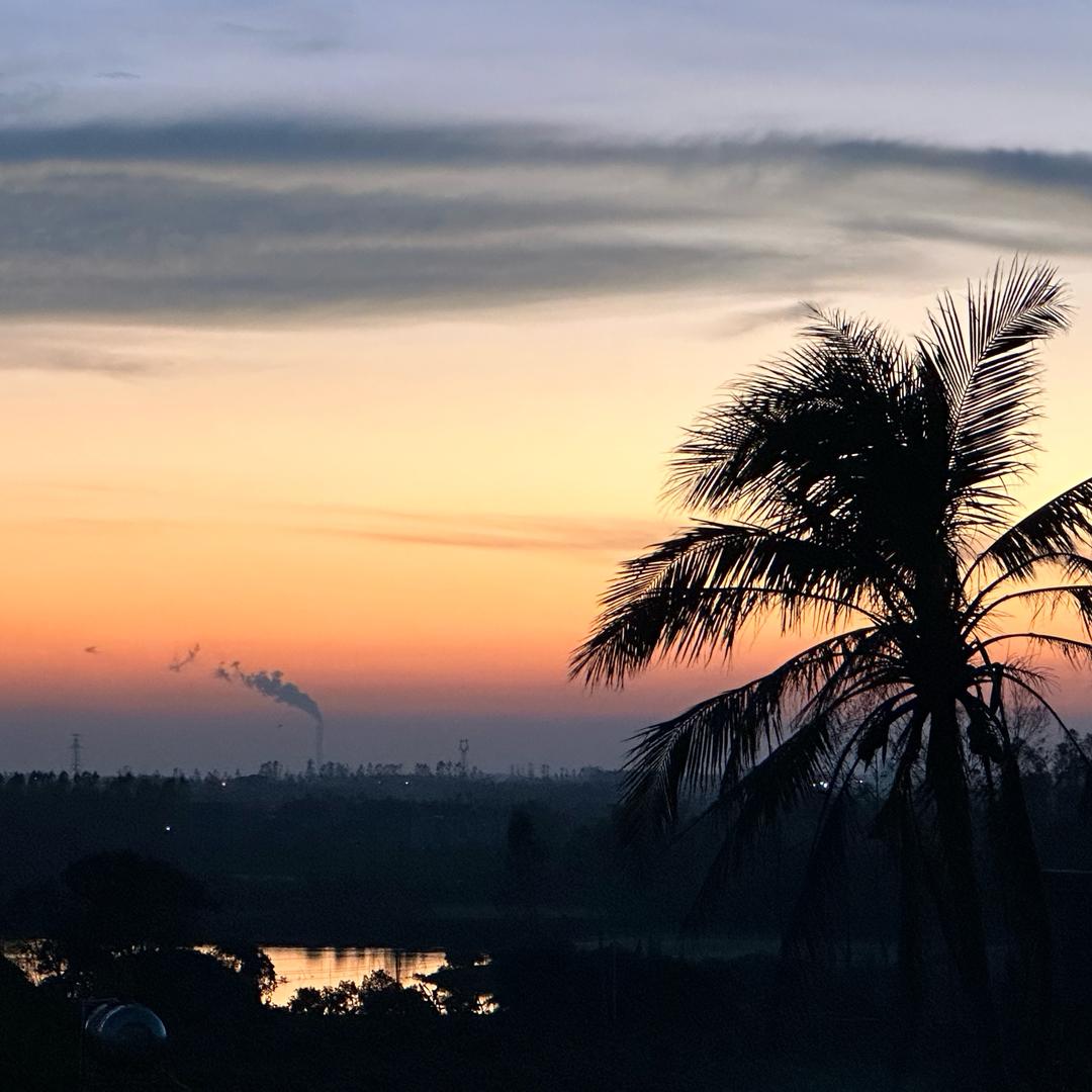 养了个洋(互关中)