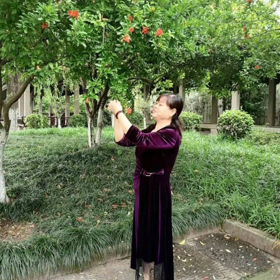 朱姐姐