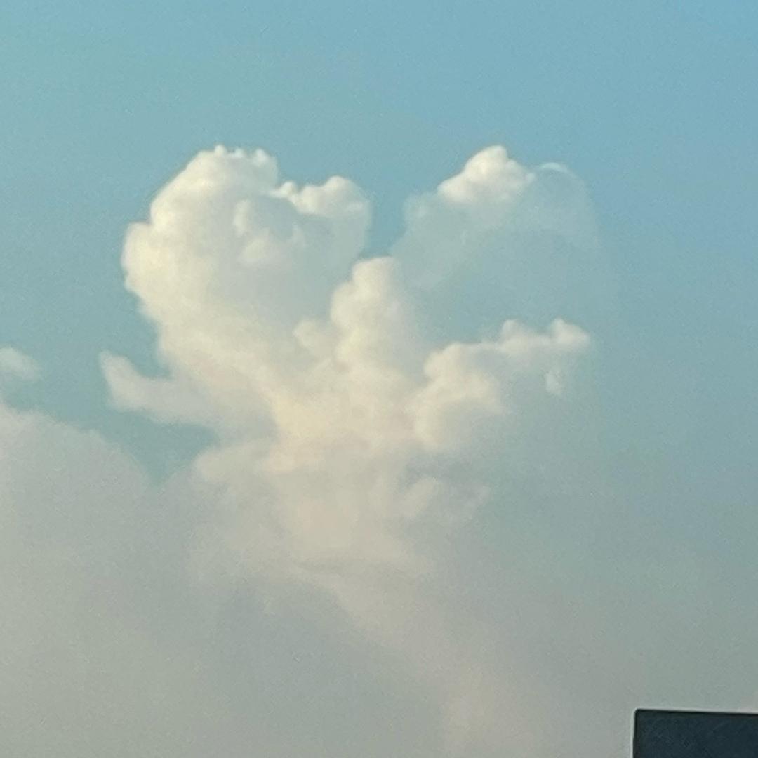 细微