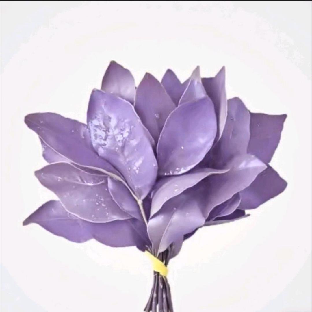 草莓泡芙卷🪁
