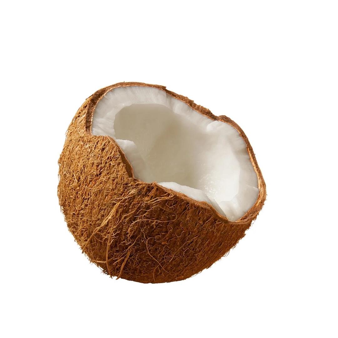Yaxaiio