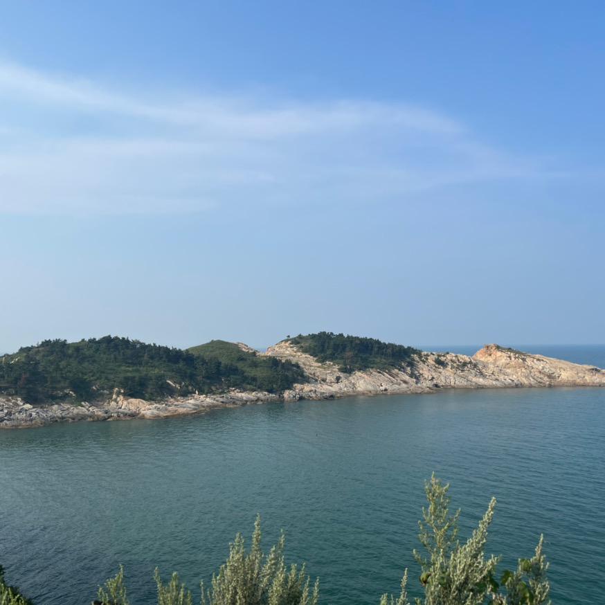 小苦瓜甸