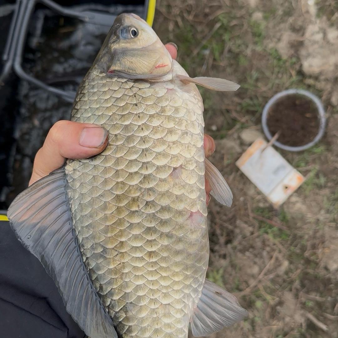 野钓🔥李不空🎣