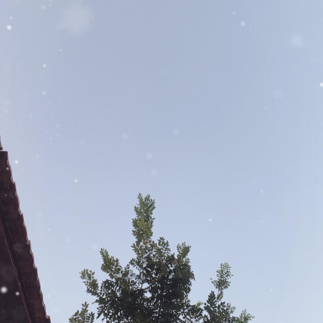 爱瞎说