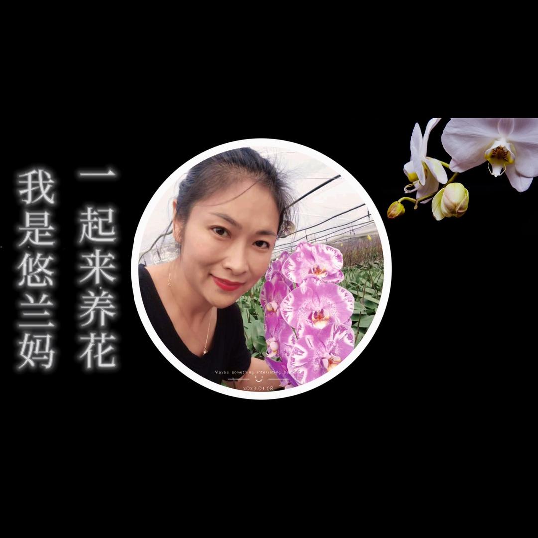 青城悠兰
