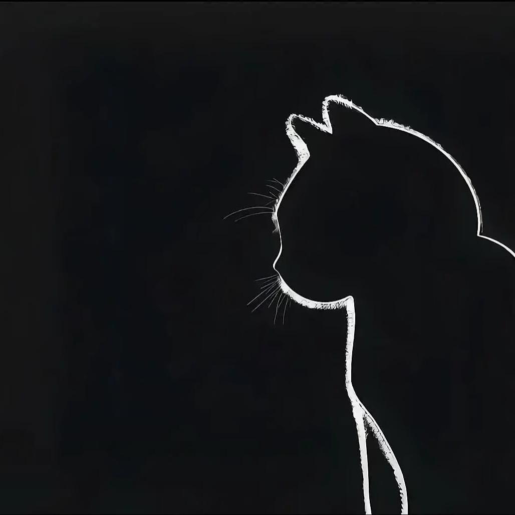 𝙁