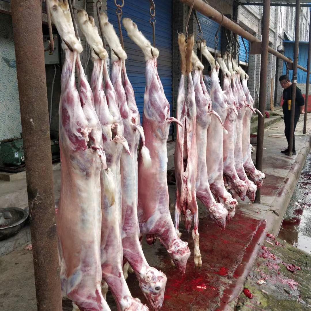 罗开渠鲜牛羊肉