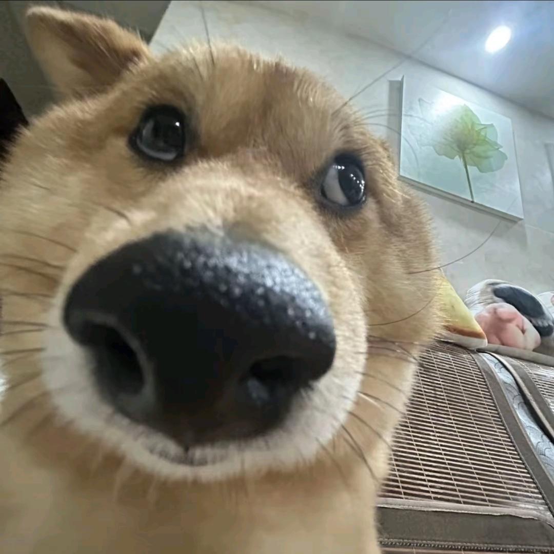 ＃